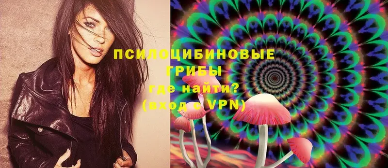 Псилоцибиновые грибы Magic Shrooms  Новокубанск 